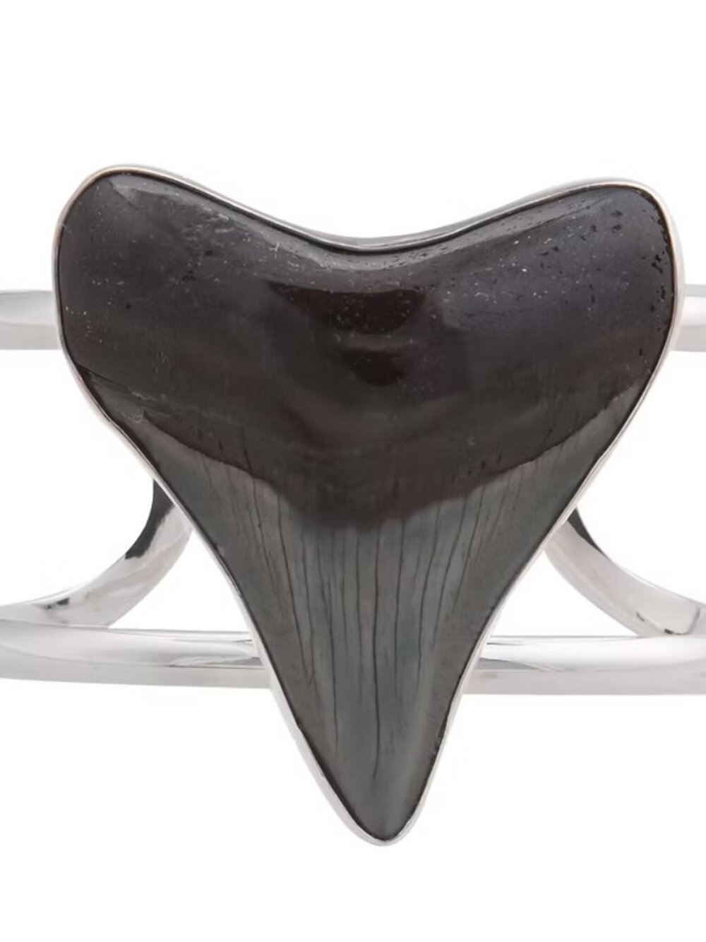 Charles Albert - Megalodon Shark Tooth Fossil Sterling Silver Cuff Bracelet - Picture 3 of 4